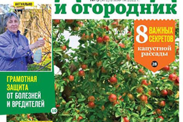 Кракен сайт наркотиков