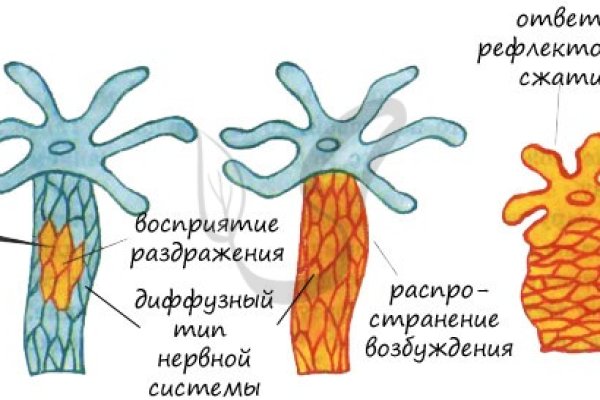 Сайты где купить наркотики